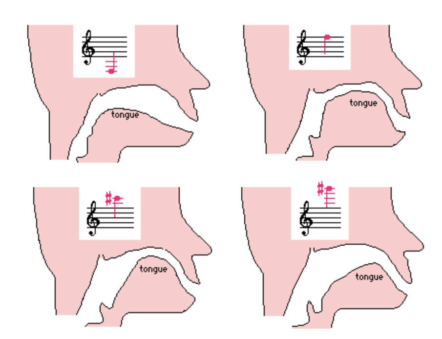 verschiedene Zungen und Rachenpositionen beim Klarinettenspiel, nach Peter Clinch 1980